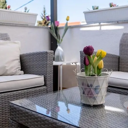 Sun House In The Centre Apartment *